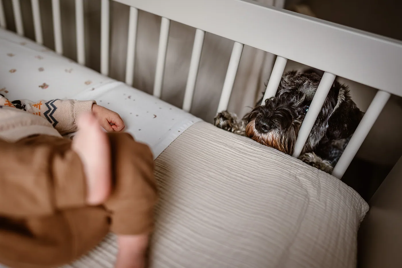 De baby ligt in het ledikant, de hond ligt er vlak naast op de grond